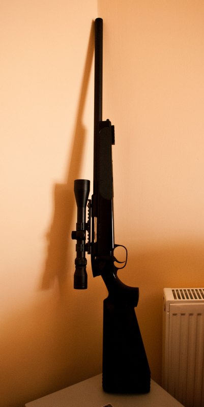 airgun1r.jpg